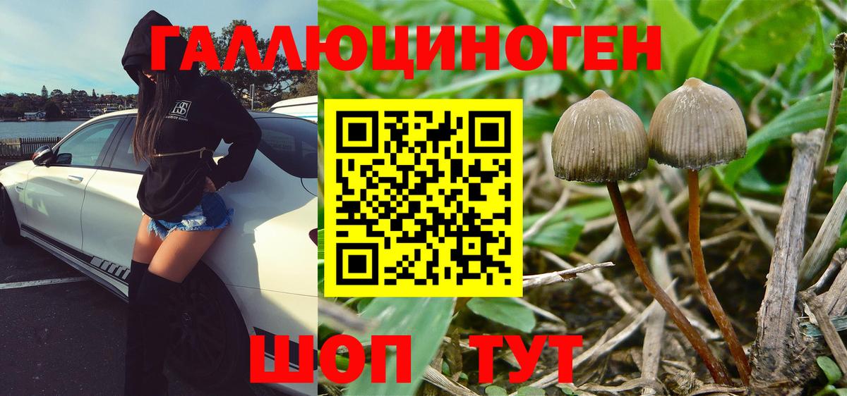 Кинель  что такое наркотик  Вход с VPN  Галлюциногенные грибы Psilocybe 