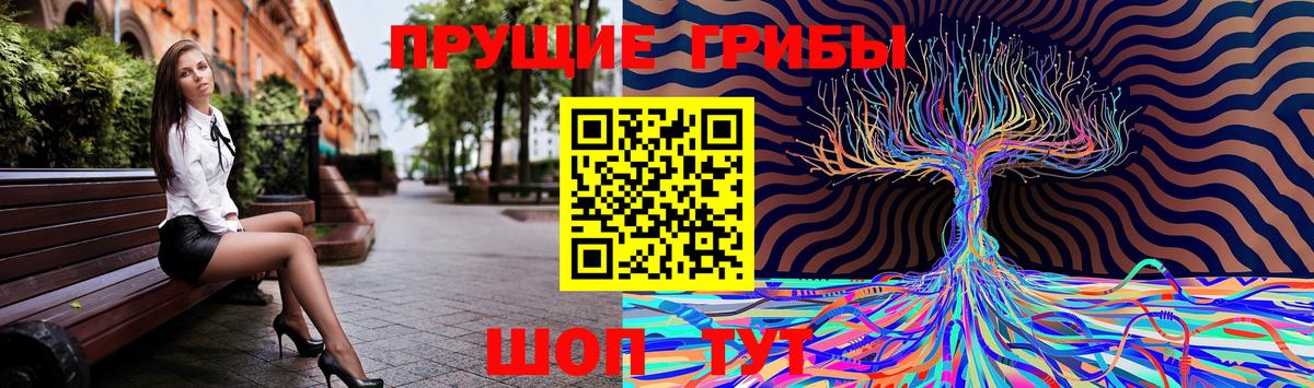 Кинель  Вход с VPN  Мефедрон   Канабис  Экстази  МЕФ  Cocaine  ГАШИШ 