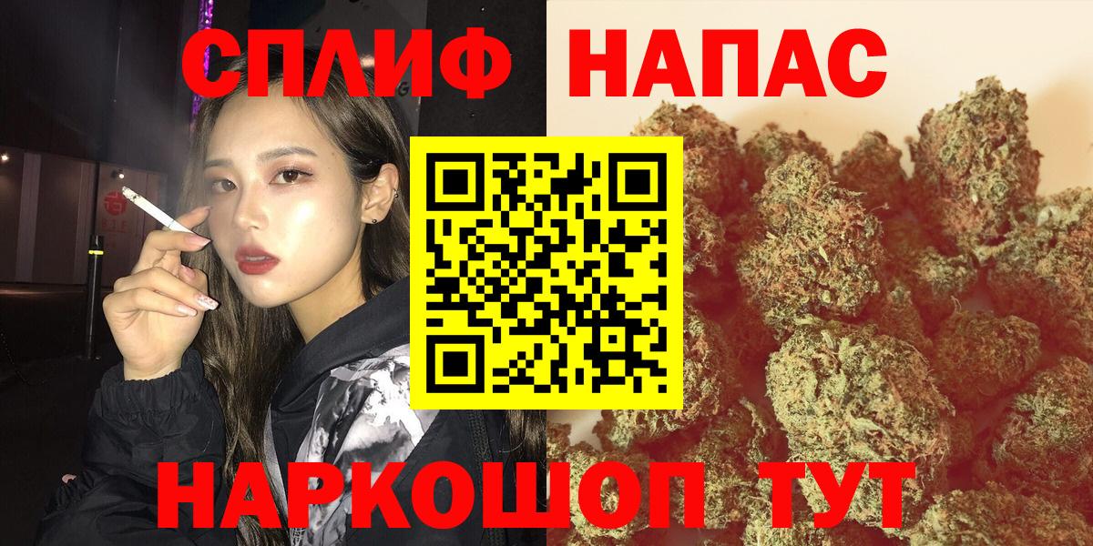 Каннабис AK-47  МАРИХУАНА MAZAR  Конопля семена  Кинель  Вход с VPN 